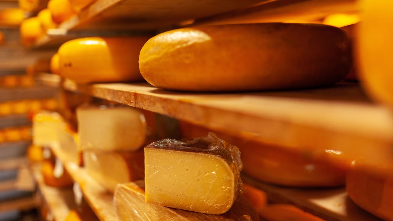 Käse beim Reifen: Der Grund für die gelbe Farbe des Käses liegt hier.