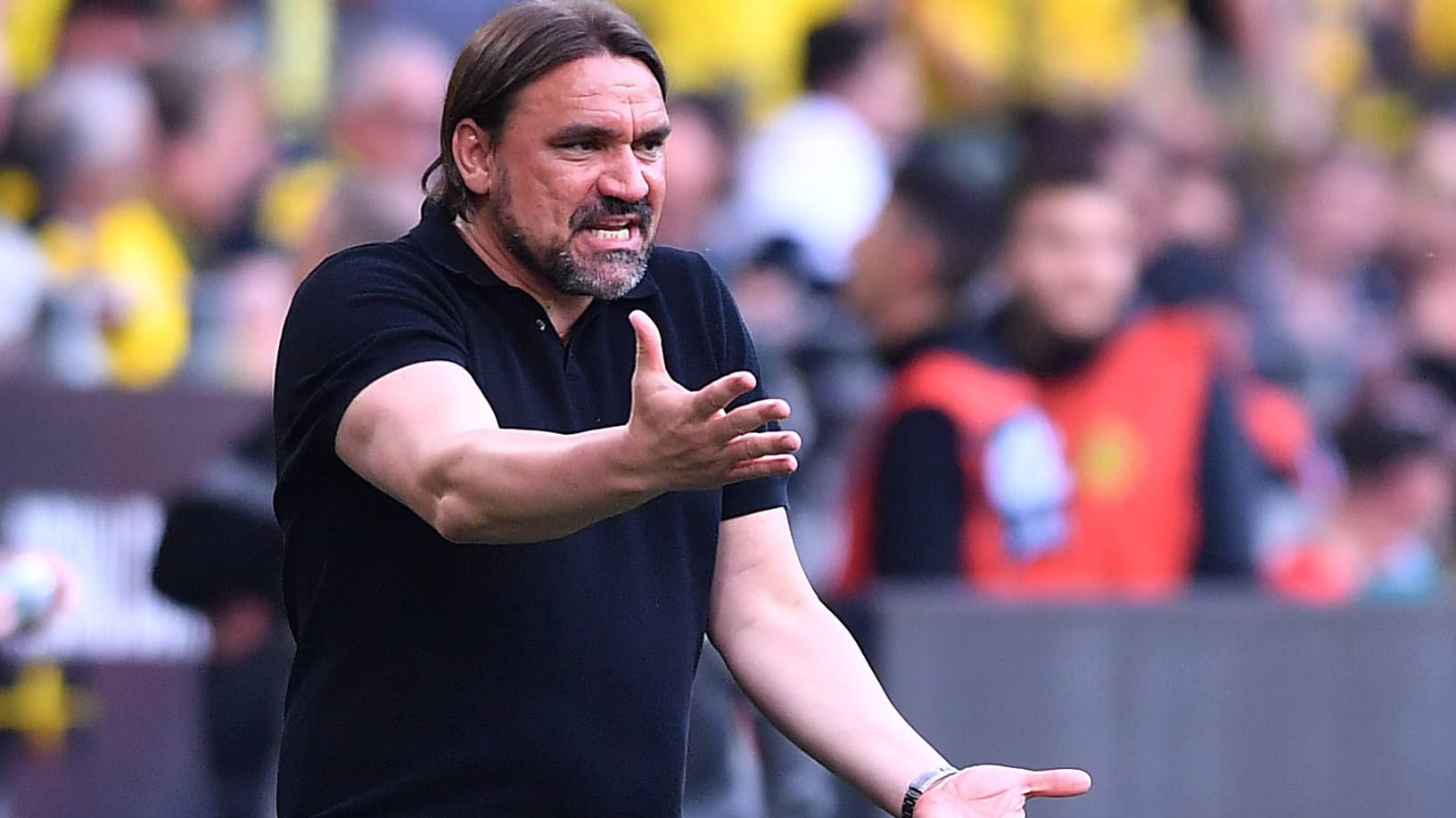 Daniel Farke: Er spielt mit Borussia Mönchengladbach eine enttäuschende Saison.