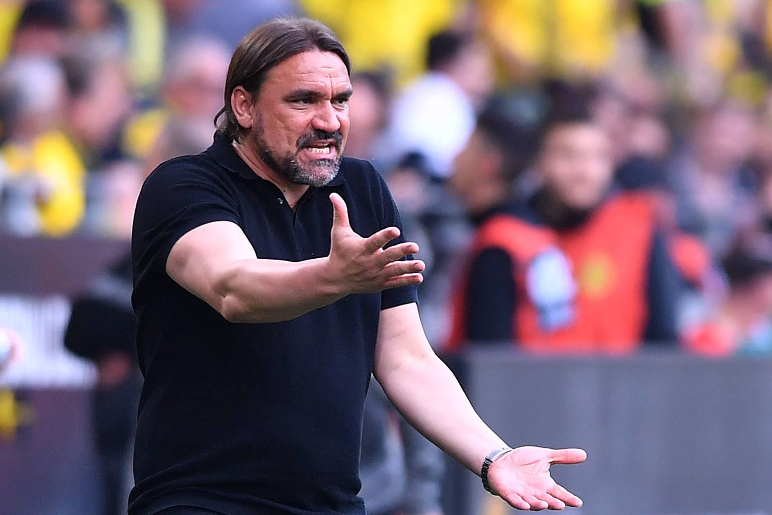 Daniel Farke: Er spielt mit Borussia Mönchengladbach eine enttäuschende Saison.