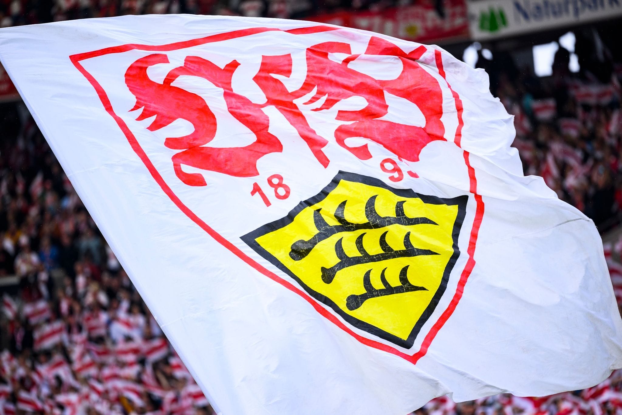 VfB Stuttgart: aktuelle News & Infos