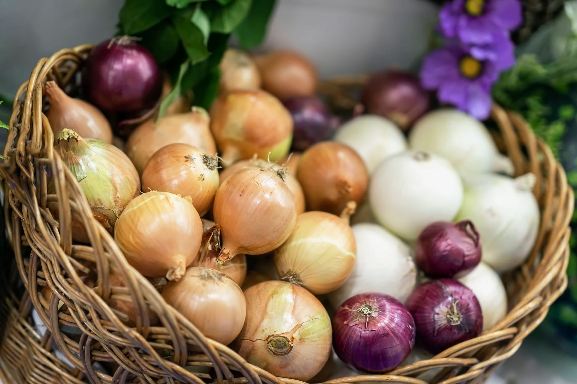 Die weiße Küchenzwiebel ist bester Standard, die rote Zwiebel wäre milder und etwas süßer.