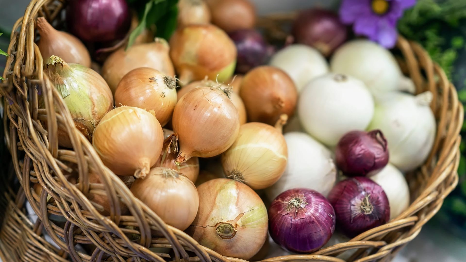 Die weiße Küchenzwiebel ist bester Standard, die rote Zwiebel wäre milder und etwas süßer.