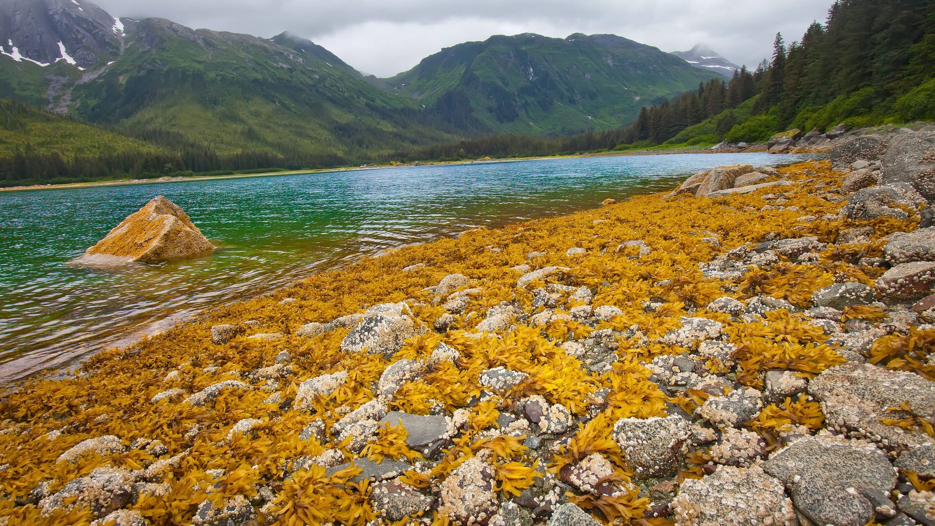 Die Wildnis von Alaska (Symbolfoto): Hier könnte die dritte Staffel von "7 vs. Wild" stattfinden. Die Wildnis von Alaska (Symbolfoto): Hier könnte die dritte Staffel von "7 vs. Wild" stattfinden.