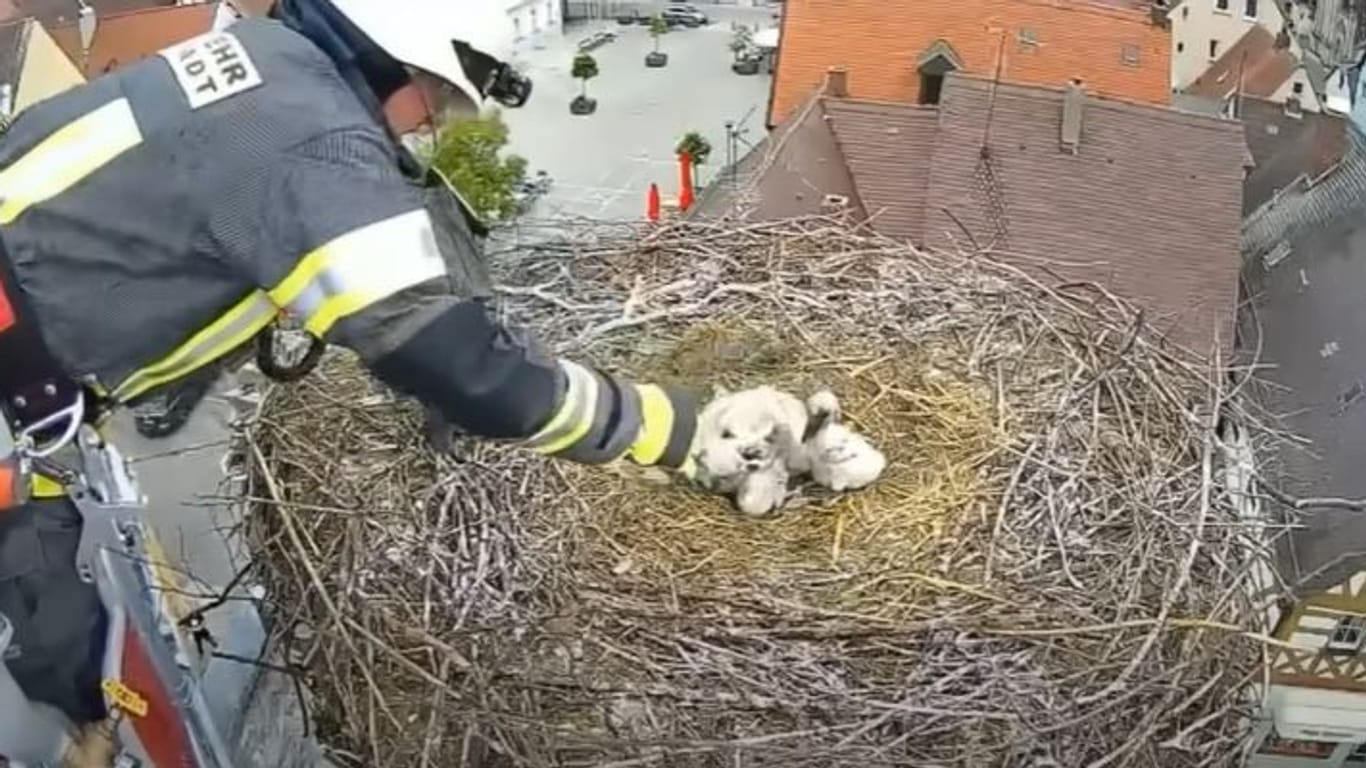 Die Feuerwehr eilt dem jungen Storch zu Hilfe.