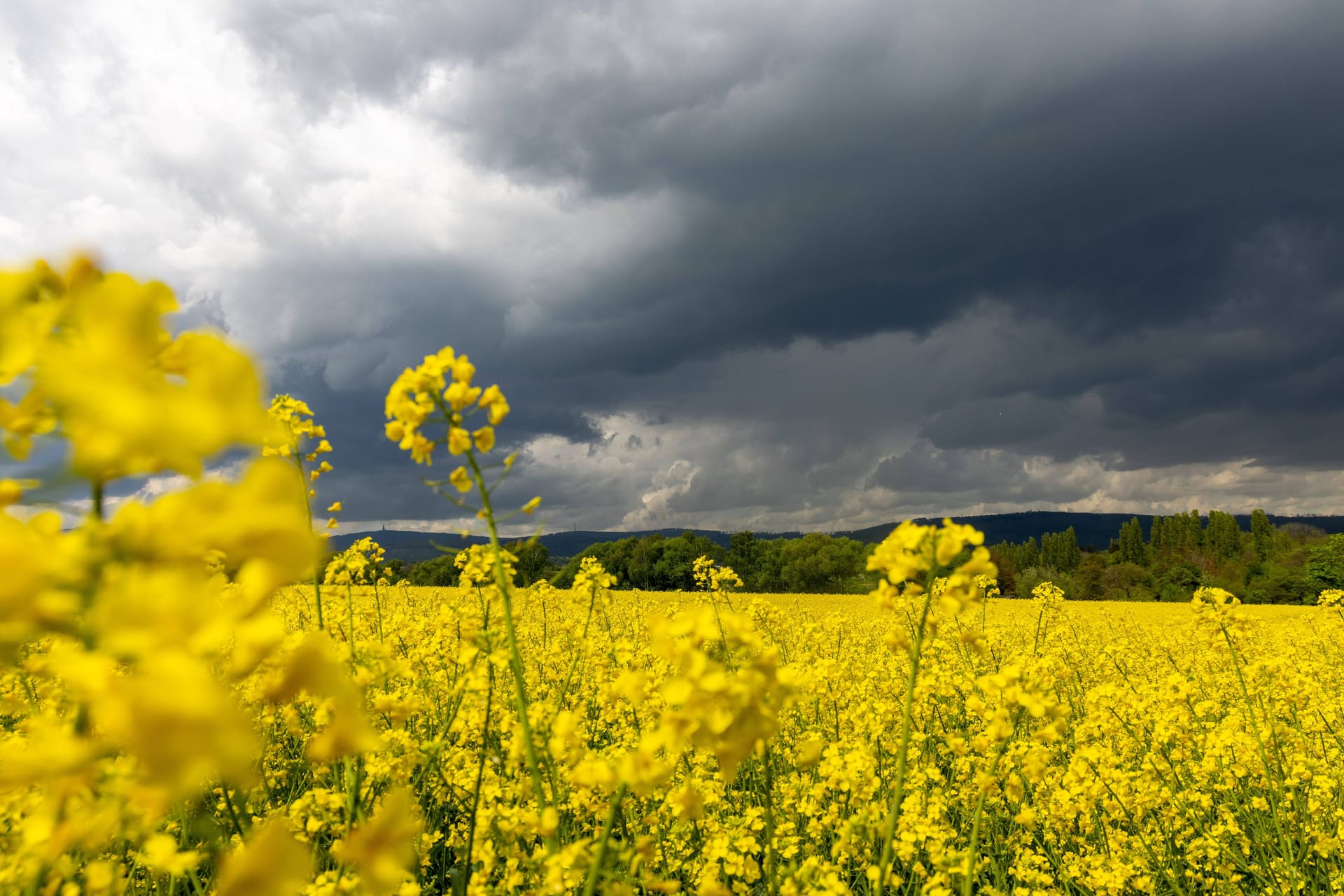 Dunkle Wolken am Himmel (Archivbild): In Sachsen kann es zu Gewittern mit Hagel kommen.