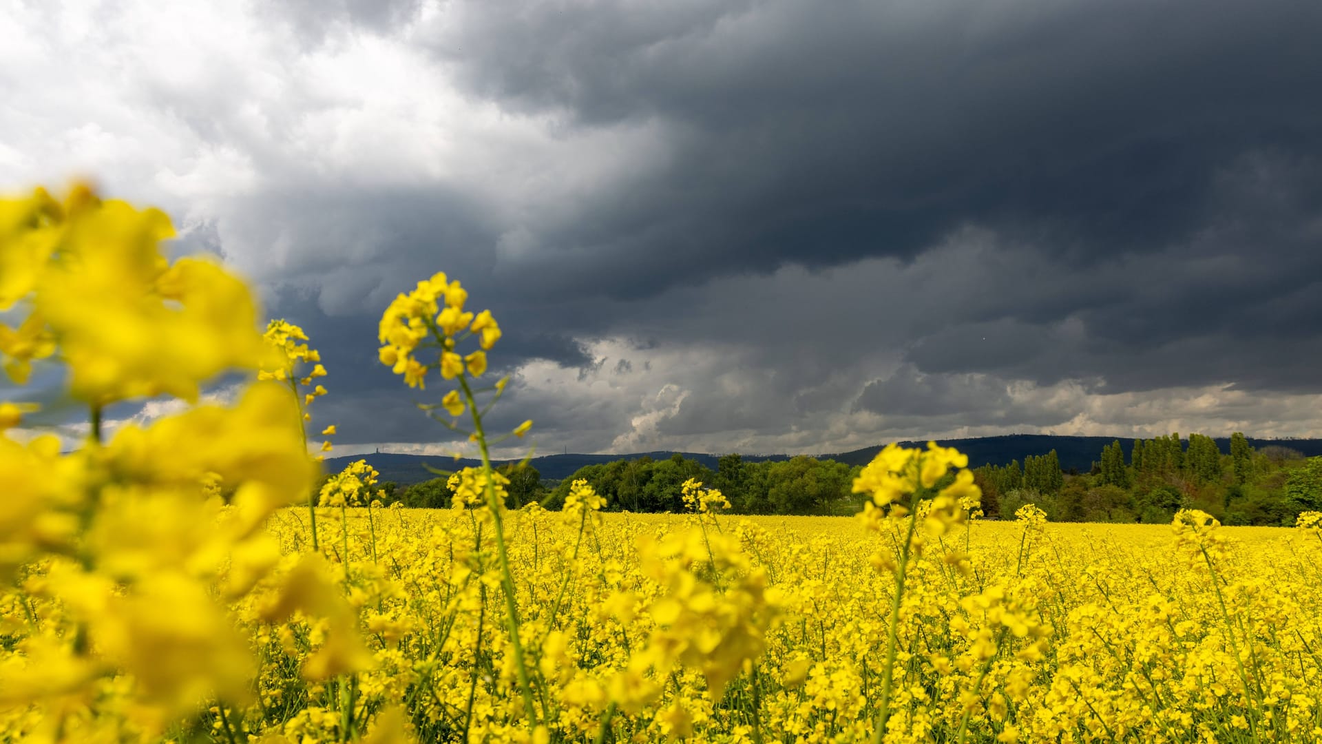 Dunkle Wolken am Himmel (Archivbild): In Sachsen kann es zu Gewittern mit Hagel kommen.