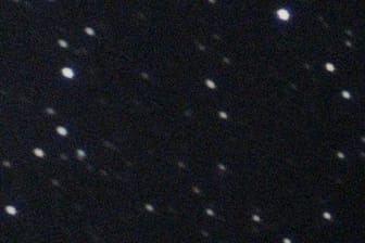 Das Sternbild des Stiers am Himmel: Die Sonne erklimmt am 21. Juni um 16.58 Uhr im Sternbild Stier den Gipfel ihrer Jahresbahn.