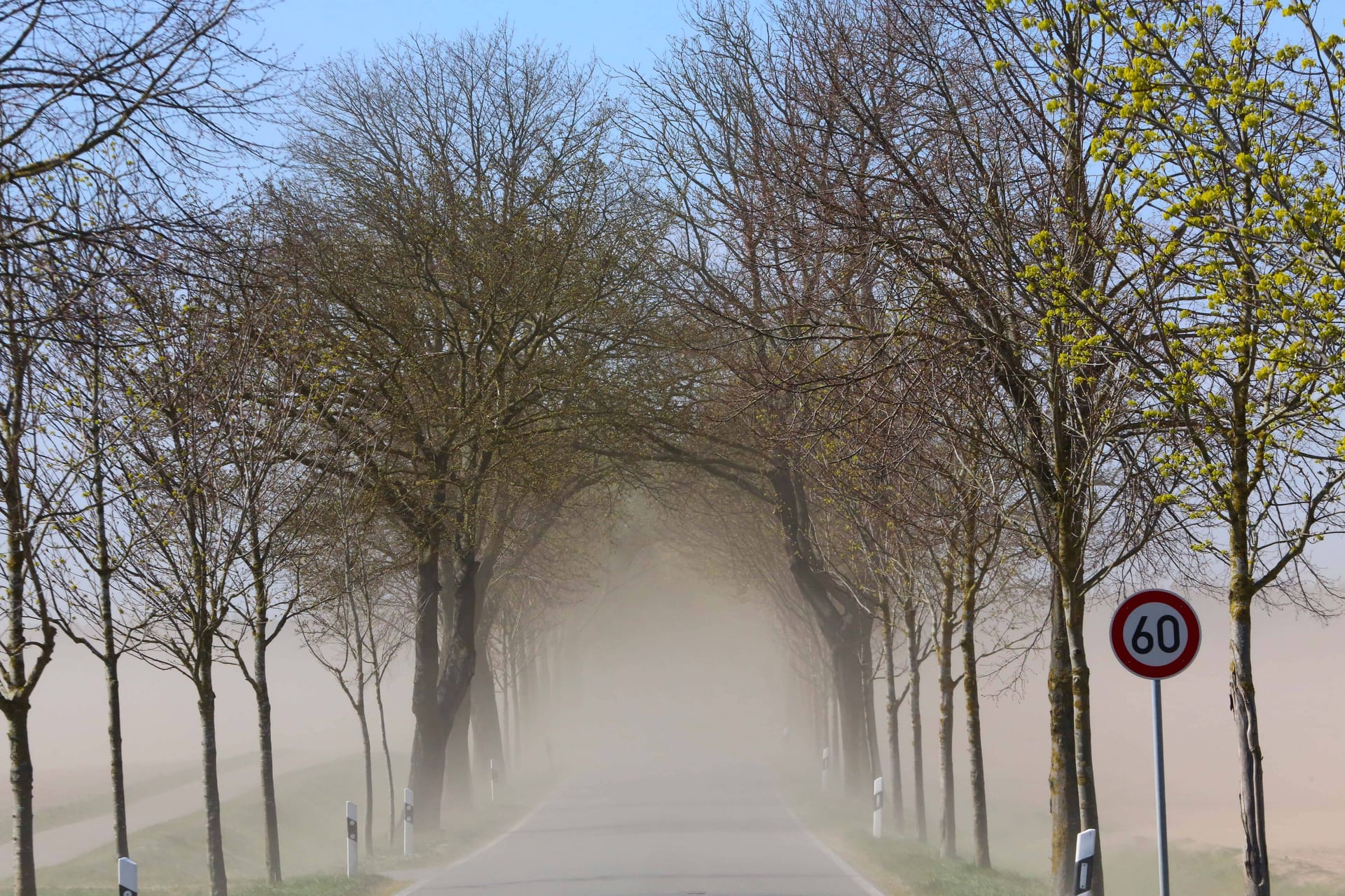 Sandsturm in Mecklenburg-Vorpommern Mitte April: Vor allem der Osten Deutschlands ist noch immer von Dürre betroffen.