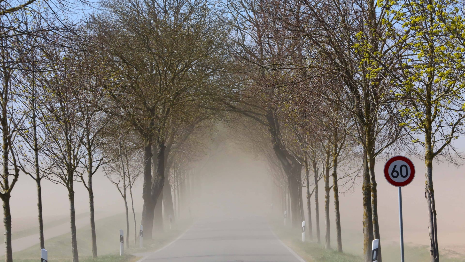 Sandsturm in Mecklenburg-Vorpommern Mitte April: Vor allem der Osten Deutschlands ist noch immer von Dürre betroffen.