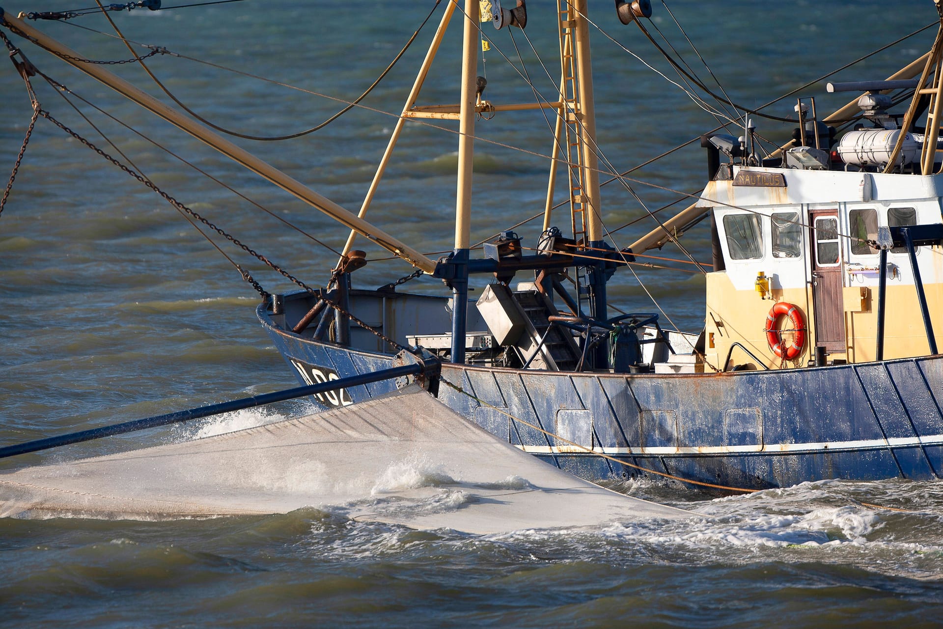 Ein Krabbenfischer mit Netz in der Nordsee (Archivfoto): Viele Fischer sehen durch Verbote ihre Existenz bedroht.