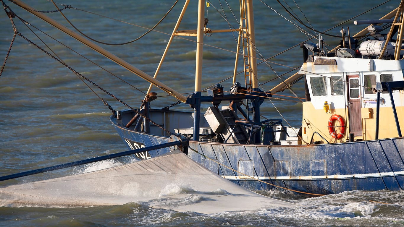 Ein Krabbenfischer mit Netz in der Nordsee (Archivfoto): Viele Fischer sehen durch Verbote ihre Existenz bedroht.