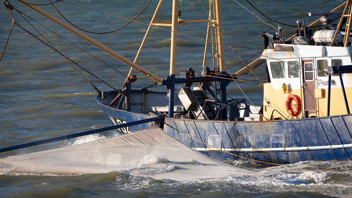 Ein Krabbenfischer mit Netz in der Nordsee (Archivfoto): Viele Fischer sehen durch Verbote ihre Existenz bedroht.