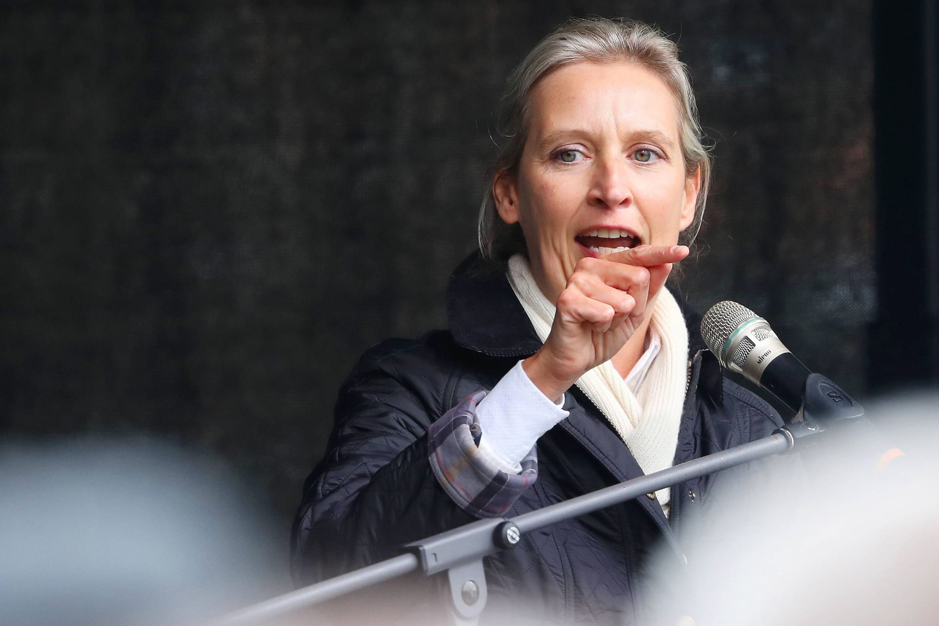 Alice Weidel: Sie leitet gemeinsam mit Tino Chrupalla Bundespartei und Fraktion der AfD.