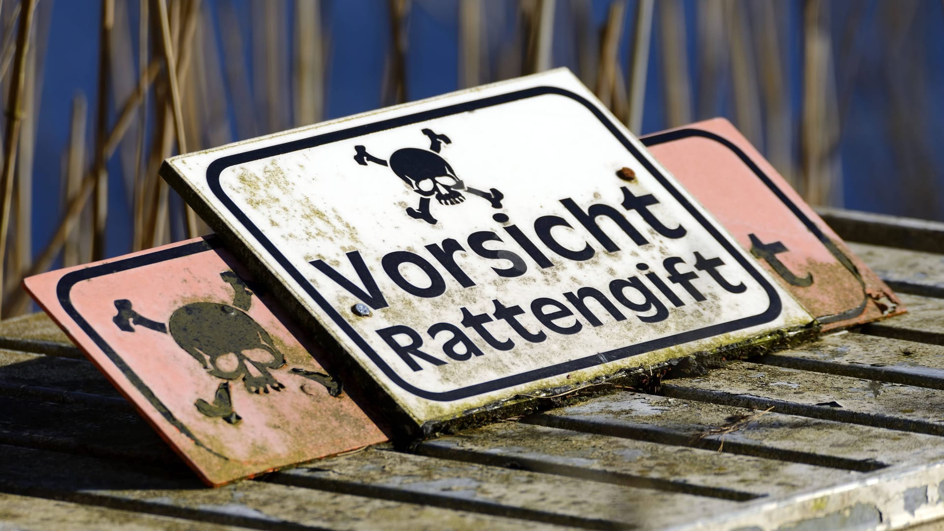 Ein Warnschild mit der Aufschrift "Vorsicht Rattengift" (Symbolbild): Ein 62-Jähriger ist festgenommen worden, weil ihm Mordversuche vorgeworfen werden.