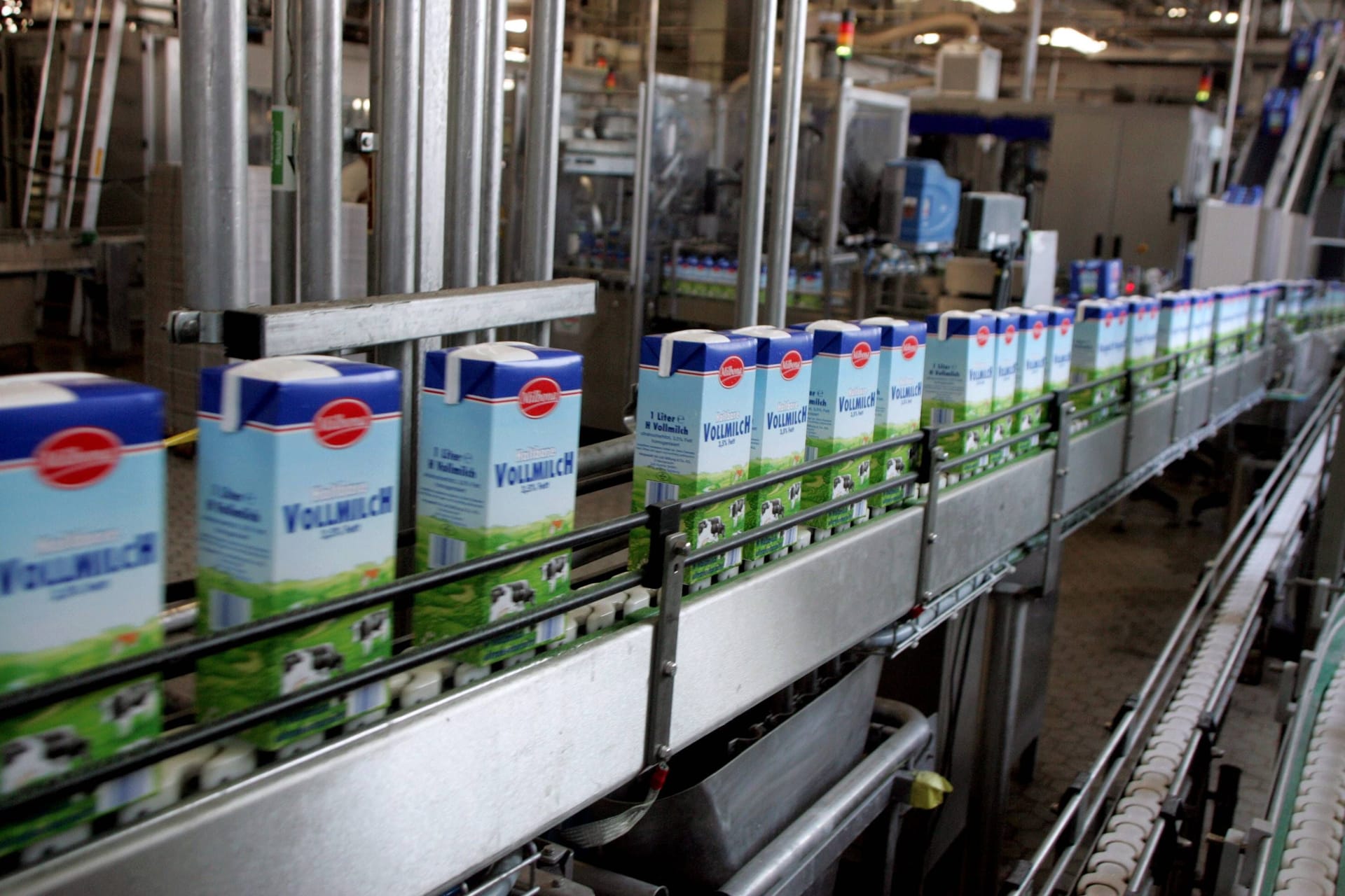 Campina-Milchwerk in Köln (Symbolbild): Milchverpackungen rollen über das Fließband.