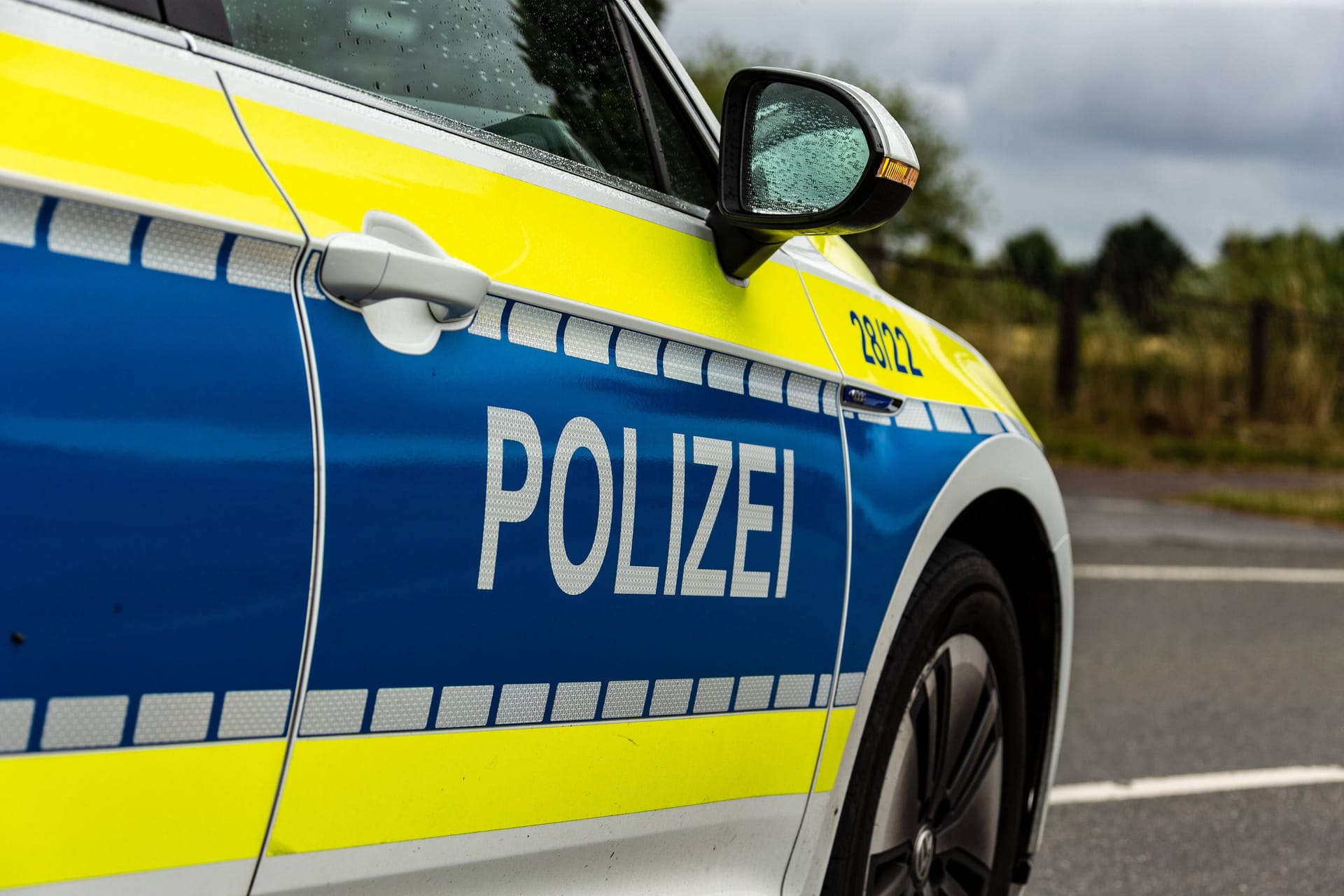 Polizeiauto (Symbolbild): Die Beamten hatten zunächst Mühe, das aufgeregte Tier einzufangen.