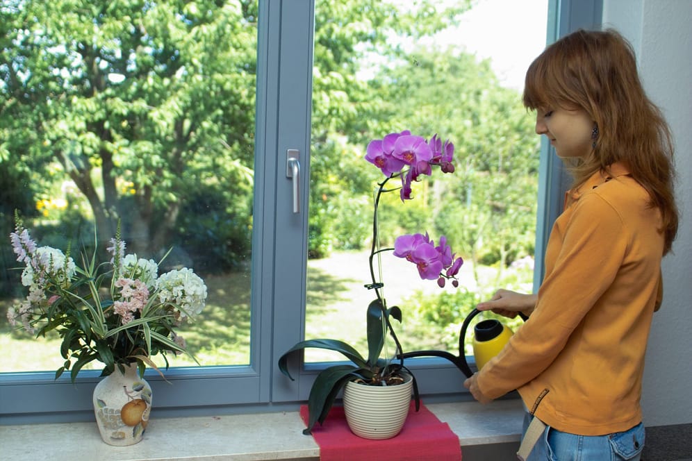 Mit Flüssigdünger geben Sie Orchideen die notwendigen Nährstoffe.