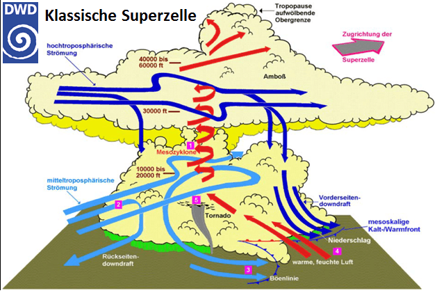 Superzelle