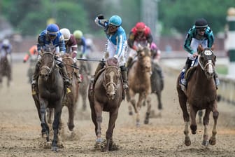 Kentucky Derby in den USA: Mehrere Pferde sind in zehn Tagen gestorben.