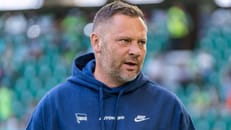Bericht: Dárdai bleibt Hertha-Trainer