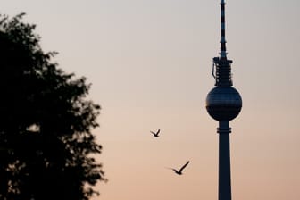 Vögel fliegen vor dem Berliner Fernsehturm (Symbolbild): Am Gebäudekomplex des Turmes sollen Unbekannte ein Banner befestigt haben.