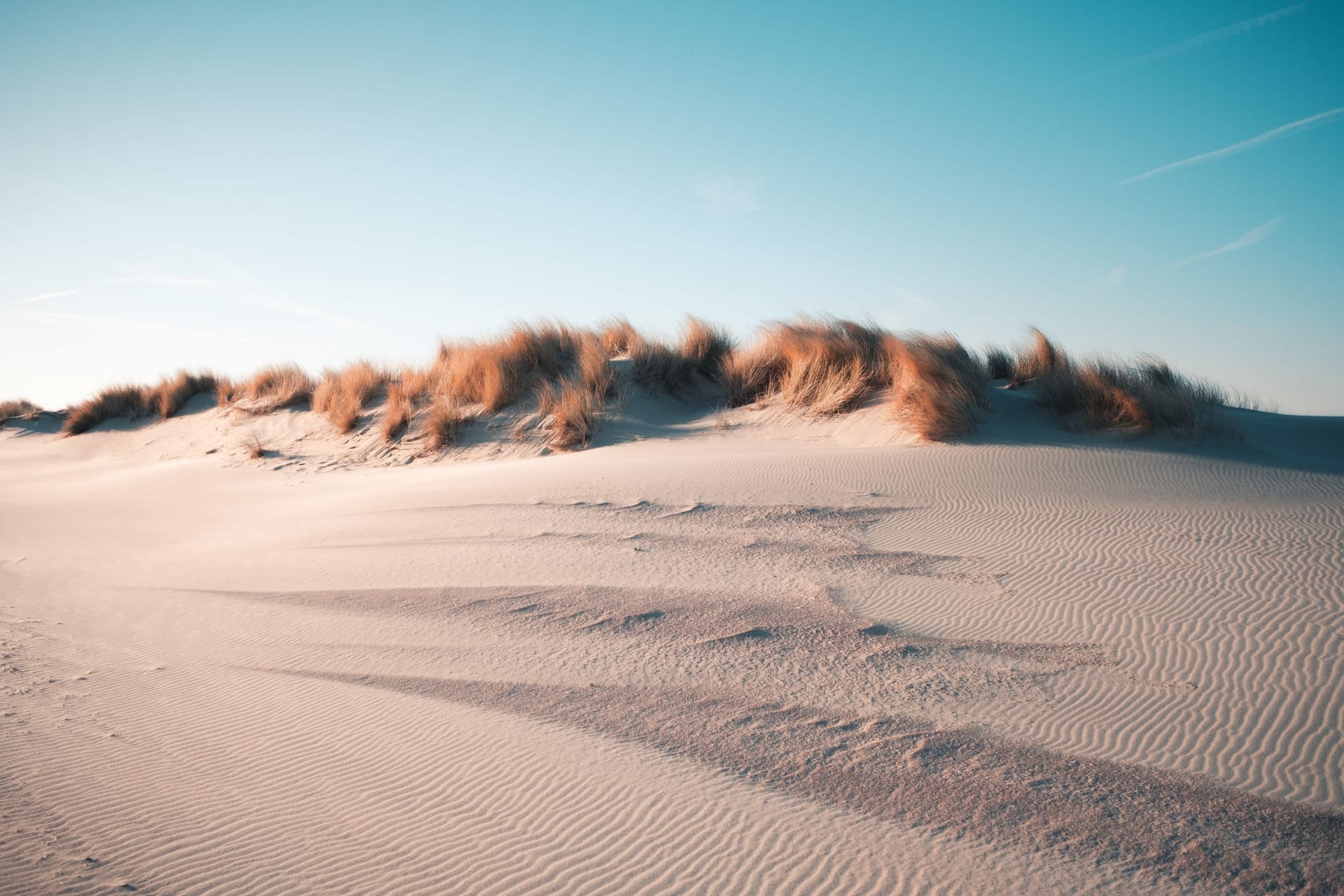 Niederlande: Der Strand in Oostkapelle.