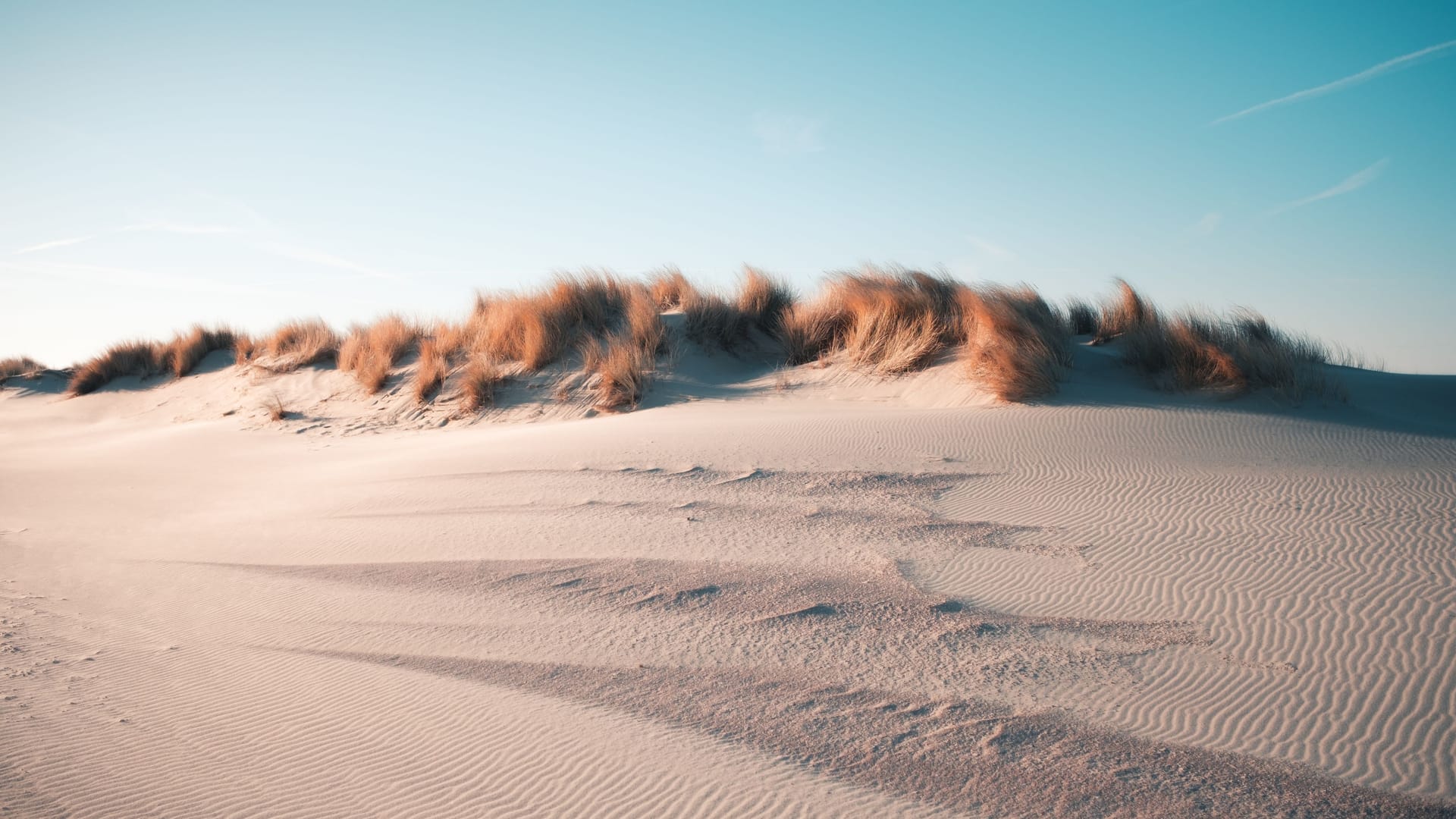 Niederlande: Der Strand in Oostkapelle.