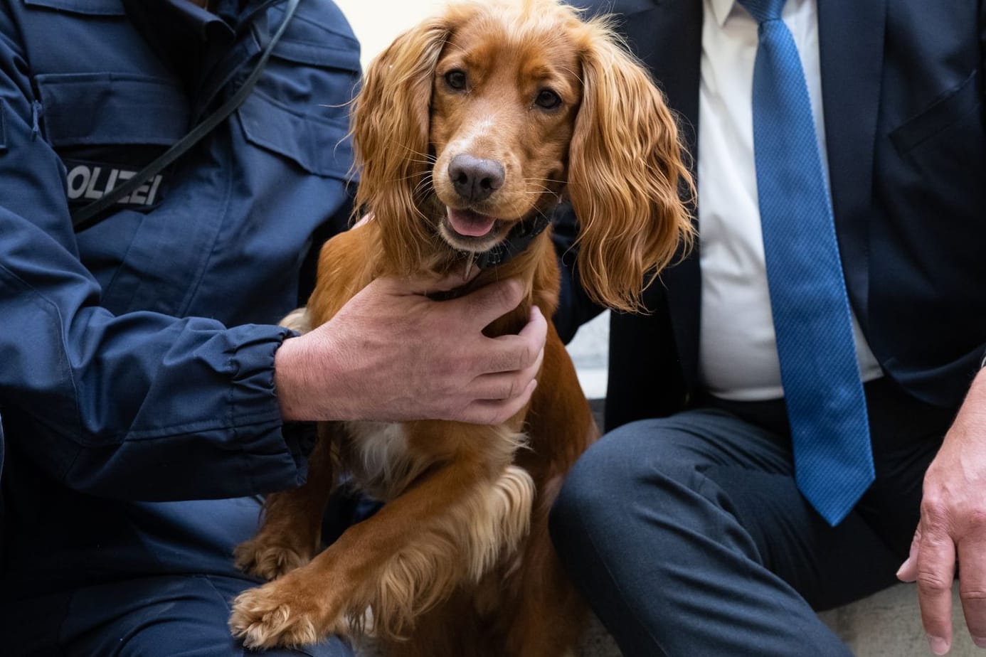 Chip mit seinem Hundeführer Volker Herdam (l) und Innenminister Joachim Herrmann.