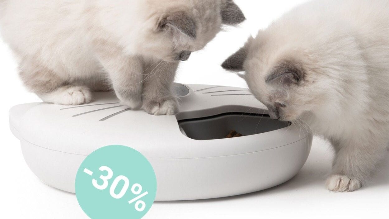 Im Aldi-Onlineshop erhalte Sie aktuell einen reduziert Futterautomaten für Katzen im Angebot.