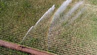 Hannover schränkt Wassernutzung wegen Dürre ein – übertrieben oder richtig?