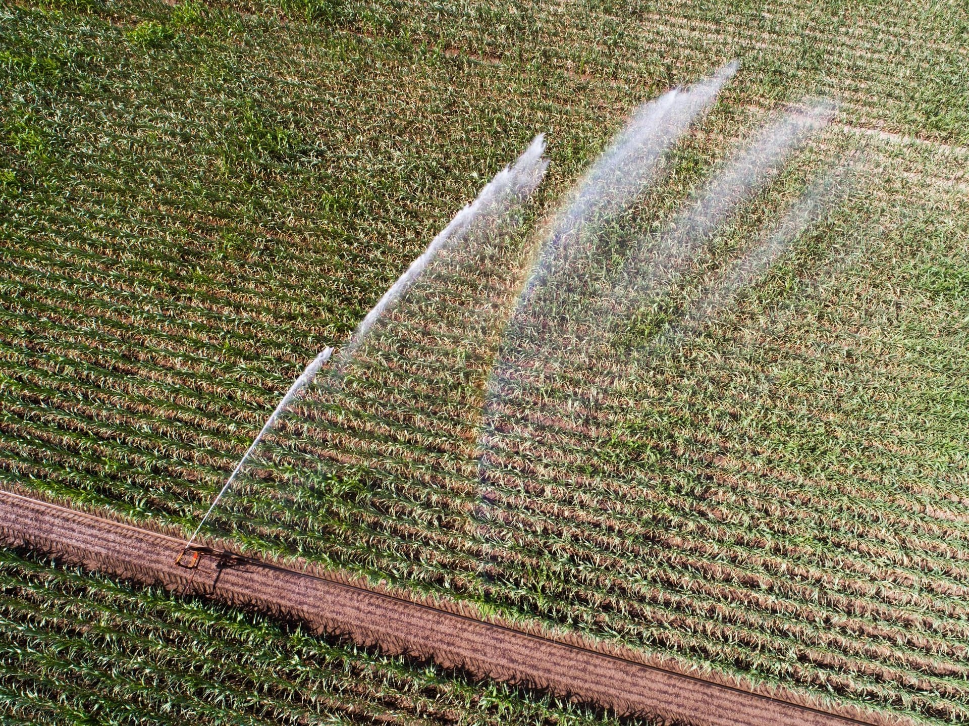 Bewässerung auf Ackerflächen
