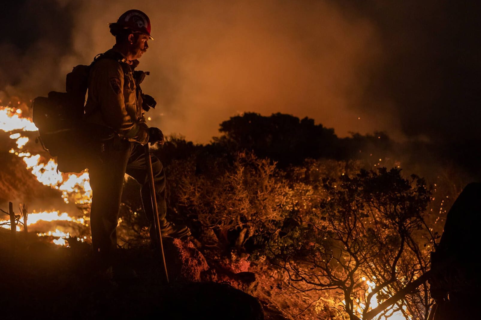 Ein Waldbrand in Kalifornien: Weltweit steigt die Zahl der Brände. In Deutschland ist 2023 bereits mehr Fläche verbrannt als sonst in einem ganzen Jahr.