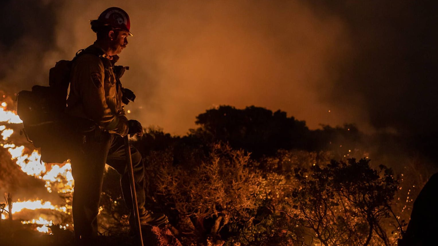 Ein Waldbrand in Kalifornien: Weltweit steigt die Zahl der Brände. In Deutschland ist 2023 bereits mehr Fläche verbrannt als sonst in einem ganzen Jahr.