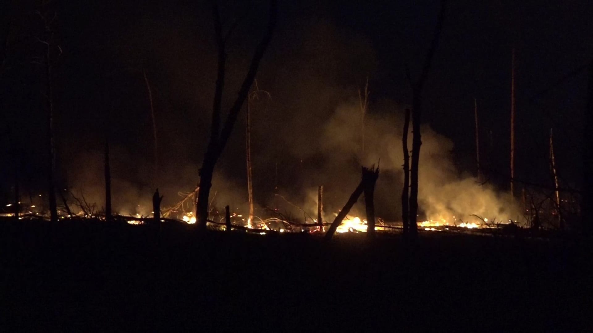 Waldbrand bei Jüterbog