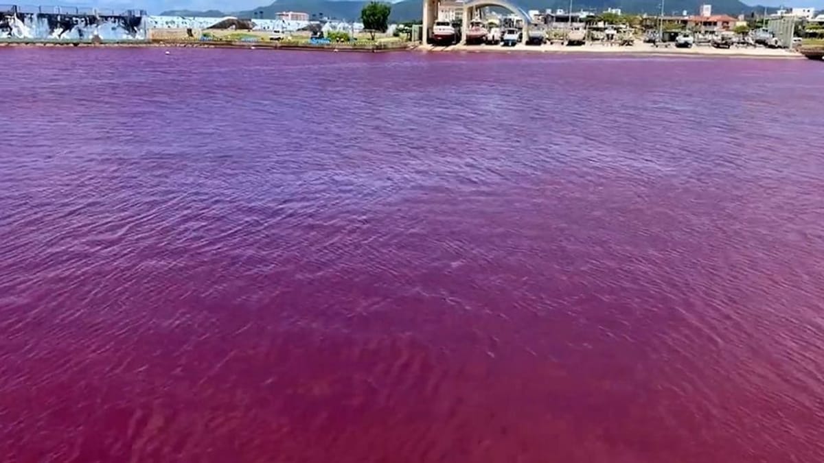 44+ Teich Färbt Sich Rot, Ich würde gerne von den erfahrenen