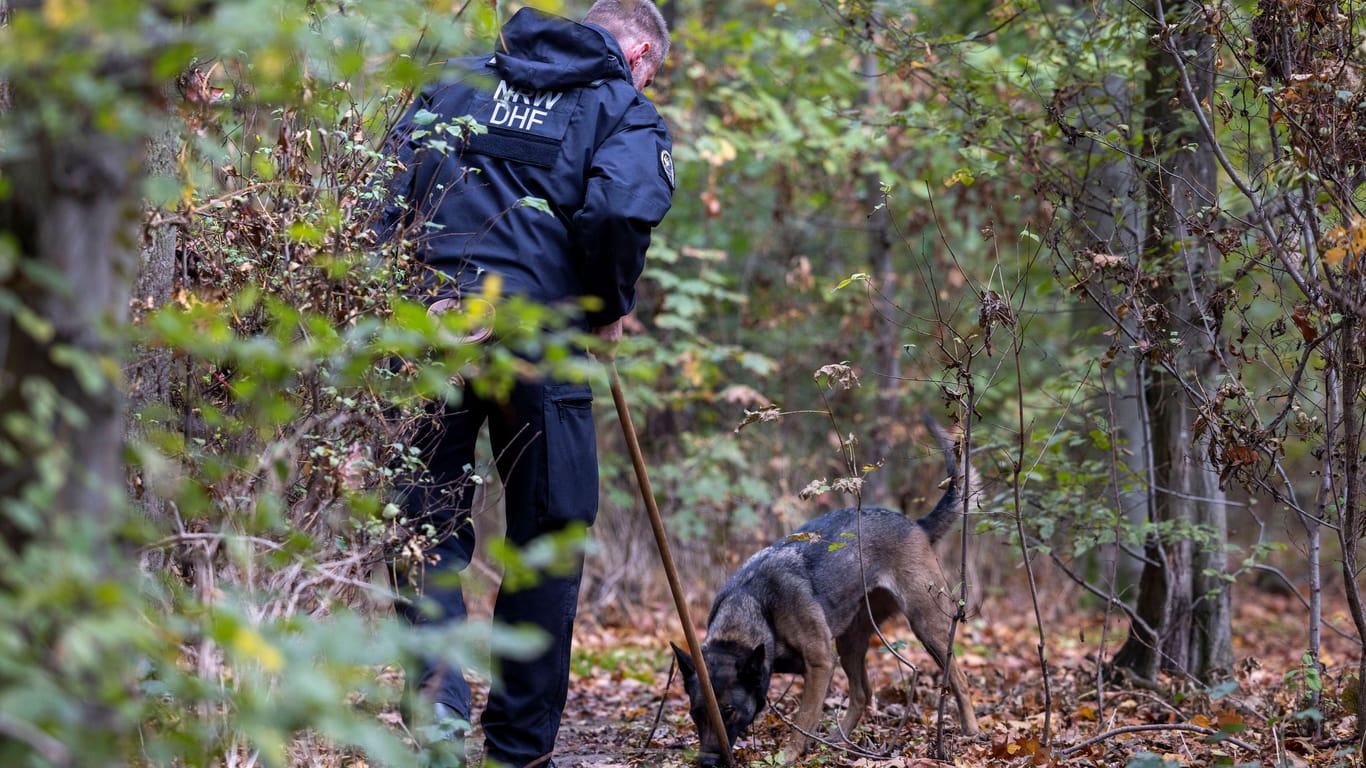 Polizei sucht im Wald (Symbolbild): Mehrere Tage hat die Polizei nach dem Mädchen fahndet