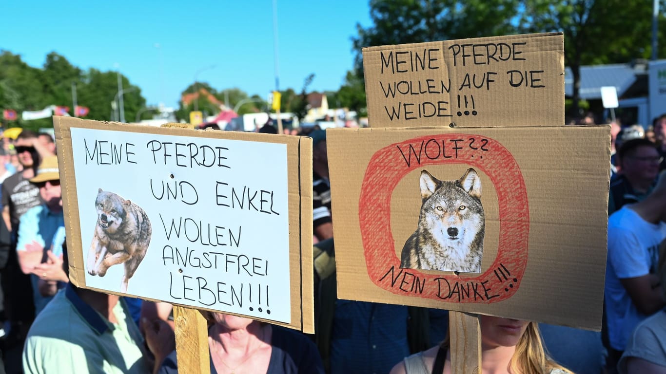 Teilnehmer der Veranstaltung halten Schilder mit Anti-Wolf-Botschaften hoch: Zuletzt ist die Population von Wölfen in Deutschland gestiegen.