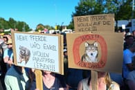 Wolf in Ostfriesland: Tausende..