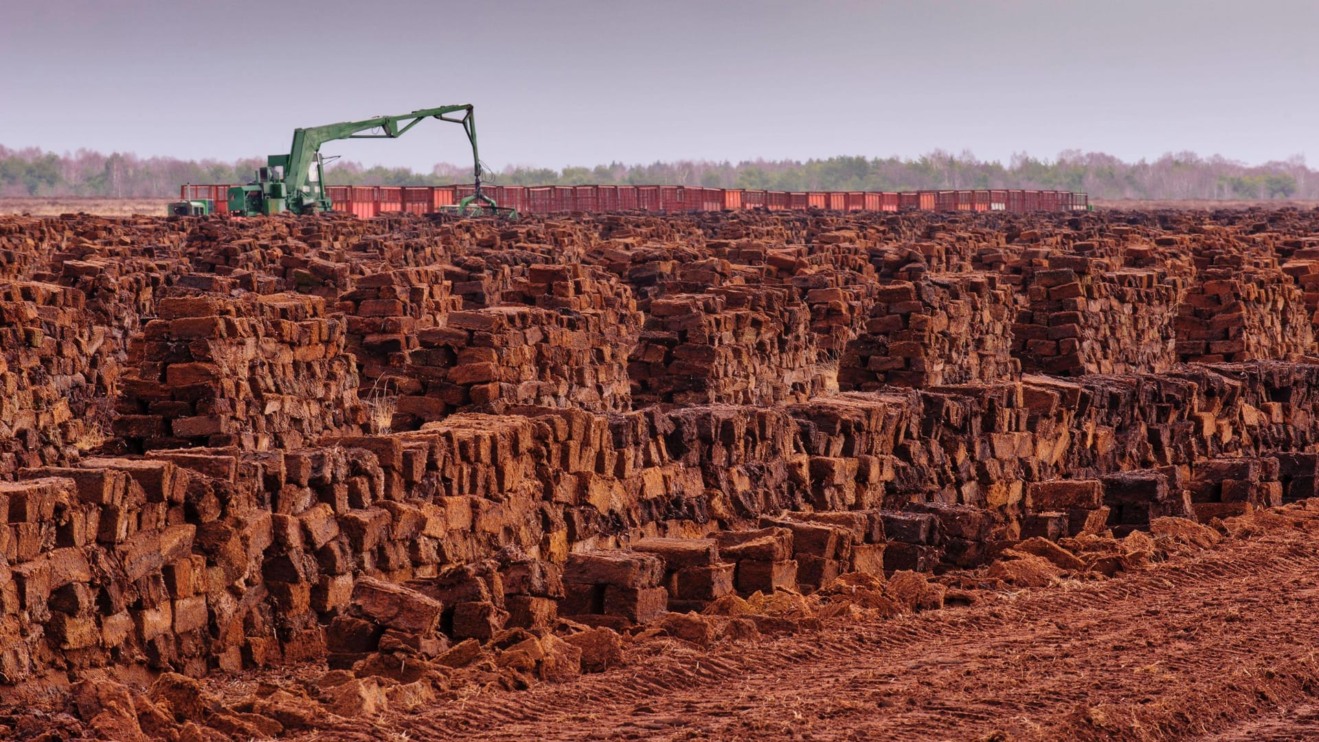 Torfabbau (Symbolfoto): Die Region war früher bedeutender Ort für die Gewinnung von Torf.