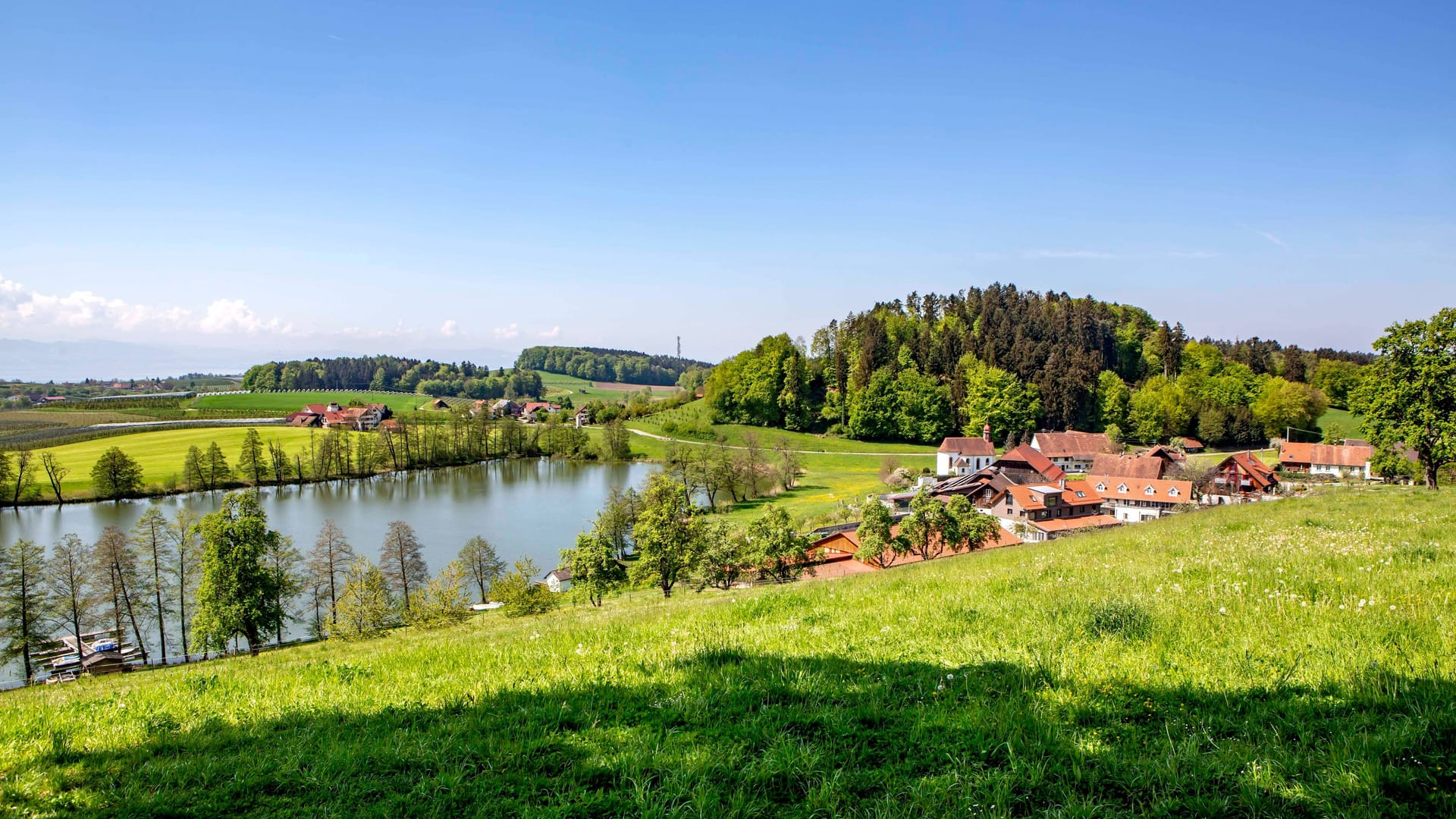 Blick von Kressbronn auf den Bodensee: Ein Anblick der sich auch den Wanderern des Bauernpfades bietet.