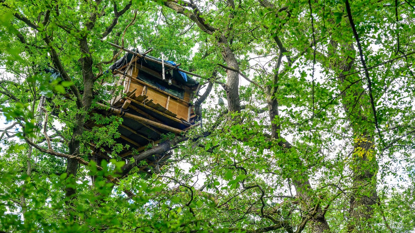 Ein Baumhaus der Waldbesetzer im Hambacher Wald (Archiv): Mit einem Großaufgebot der Polizei wurden die Baumhäuser im September 2018 geräumt.