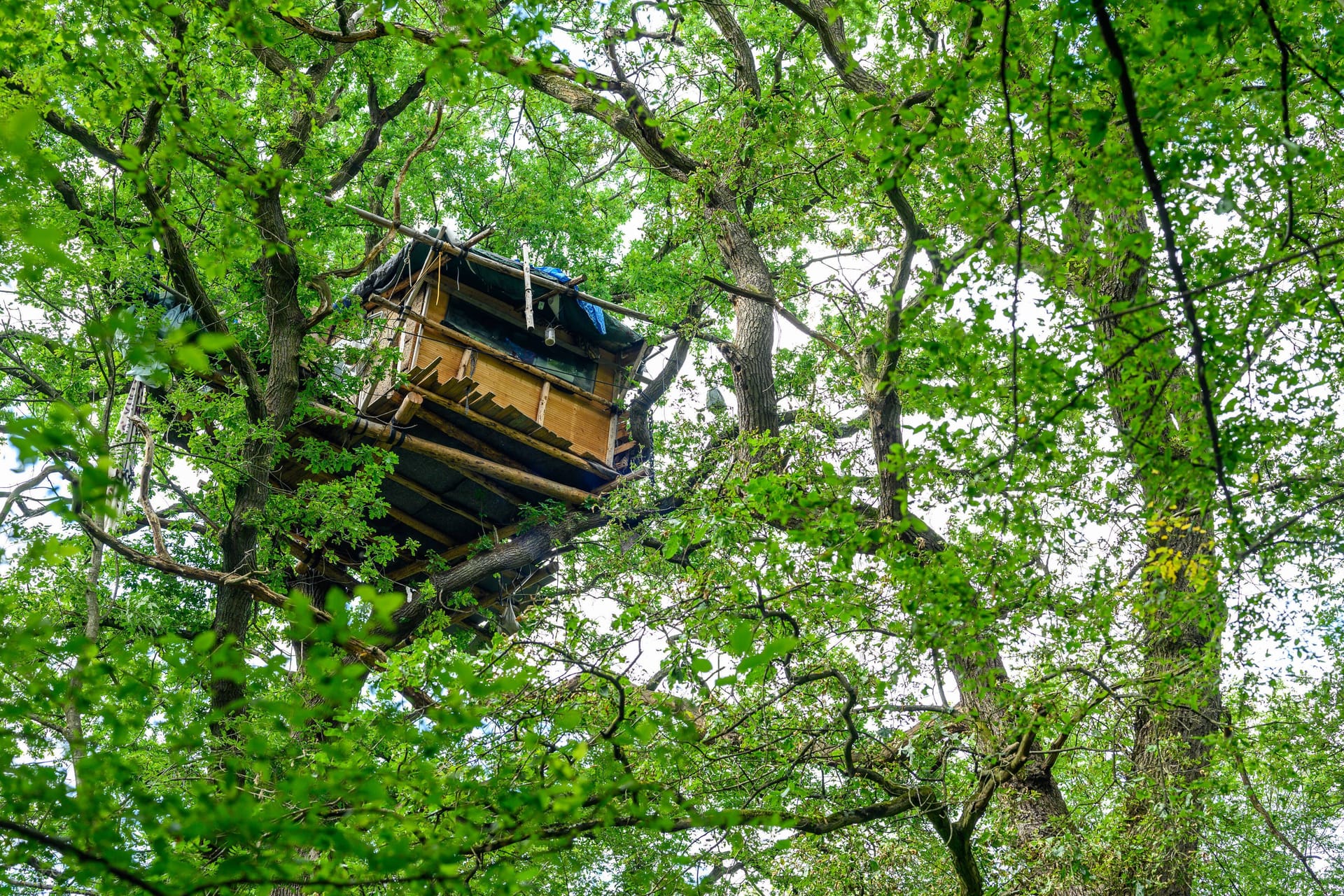 Ein Baumhaus der Waldbesetzer im Hambacher Wald (Archiv): Mit einem Großaufgebot der Polizei wurden die Baumhäuser im September 2018 geräumt.