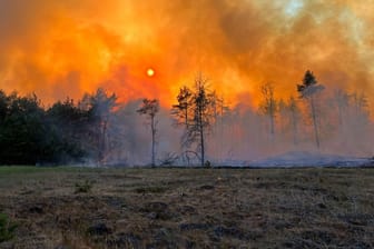 Waldbrand in Lübtheen: Aufziehender Wind verschärft die Lage.