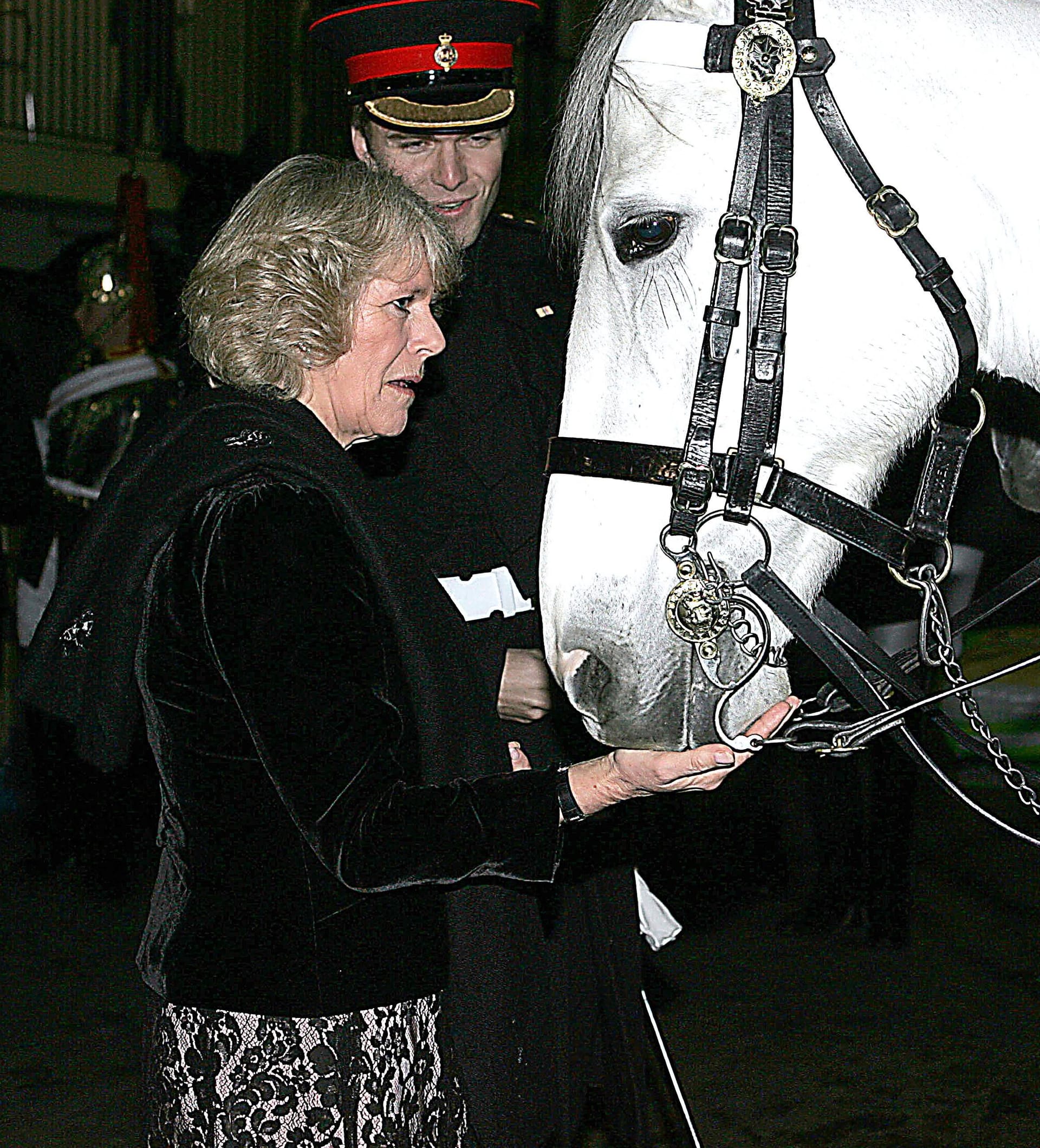Camilla 2005 bei einer Pferdeschau.