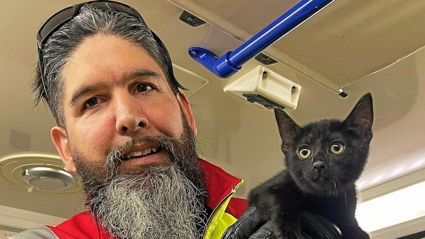 Stephan Witte, Leiter der Tierrettung: "Wir mussten alles ausbauen, um die Katze zu retten."