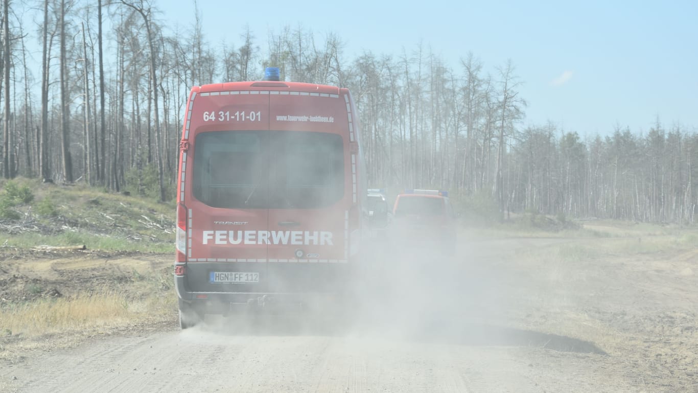 Feuerwehrfahrzeuge fahren durch den Wald bei Volzrade: Jedes Jahr falle hier weniger Regen, sagen Anwohner.