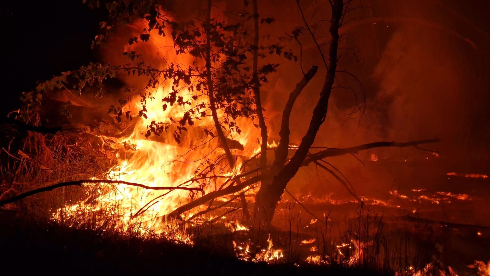 Flammen lodern auf einem ehemaligen Truppenübungsplatz bei Jüterbog: Bei dem Waldbrand hat sich die Lage verschärft. Ein rasches Ende des Löscheinsatzes ist nicht absehbar.