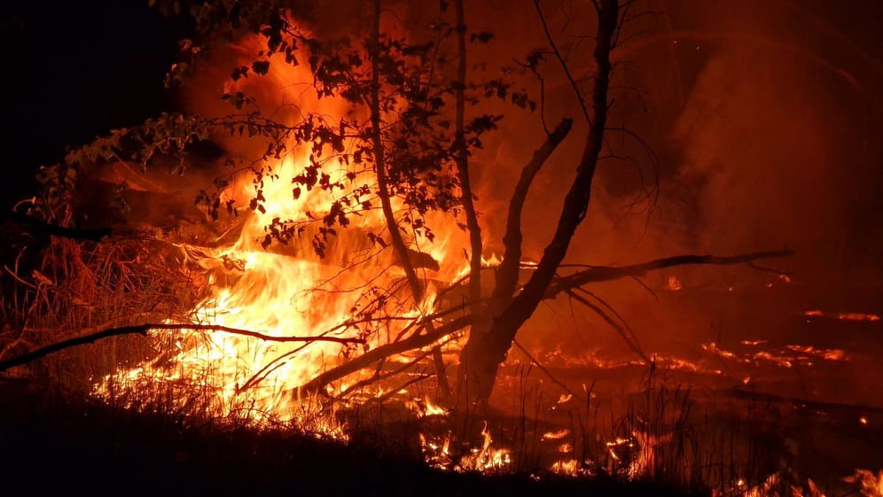 Flammen lodern auf einem ehemaligen Truppenübungsplatz bei Jüterbog: Bei dem Waldbrand hat sich die Lage verschärft. Ein rasches Ende des Löscheinsatzes ist nicht absehbar.