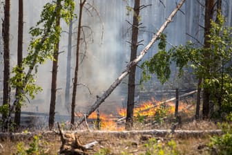 Waldbrand in Jüterbog: Die Gefahr für Brände steigt im Sommer enorm.