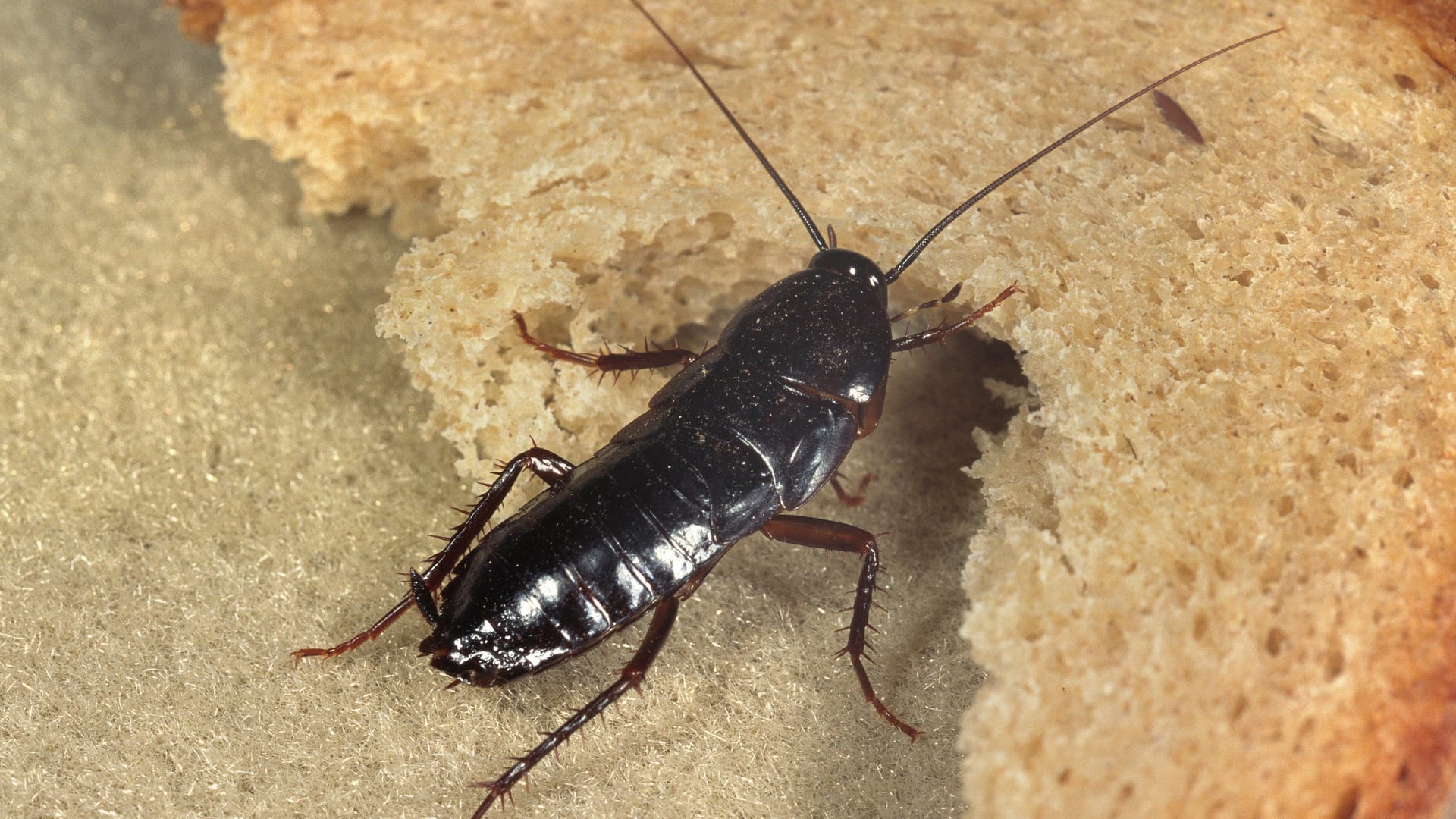 imago images 0240843974